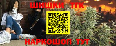 сатива Ярославль