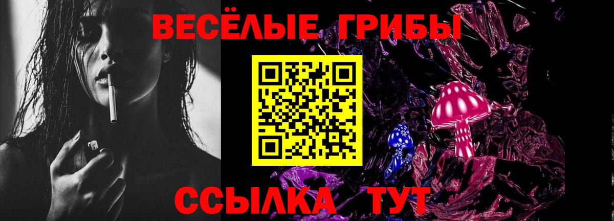 Псилоцибиновые грибы ЛСД Ковров